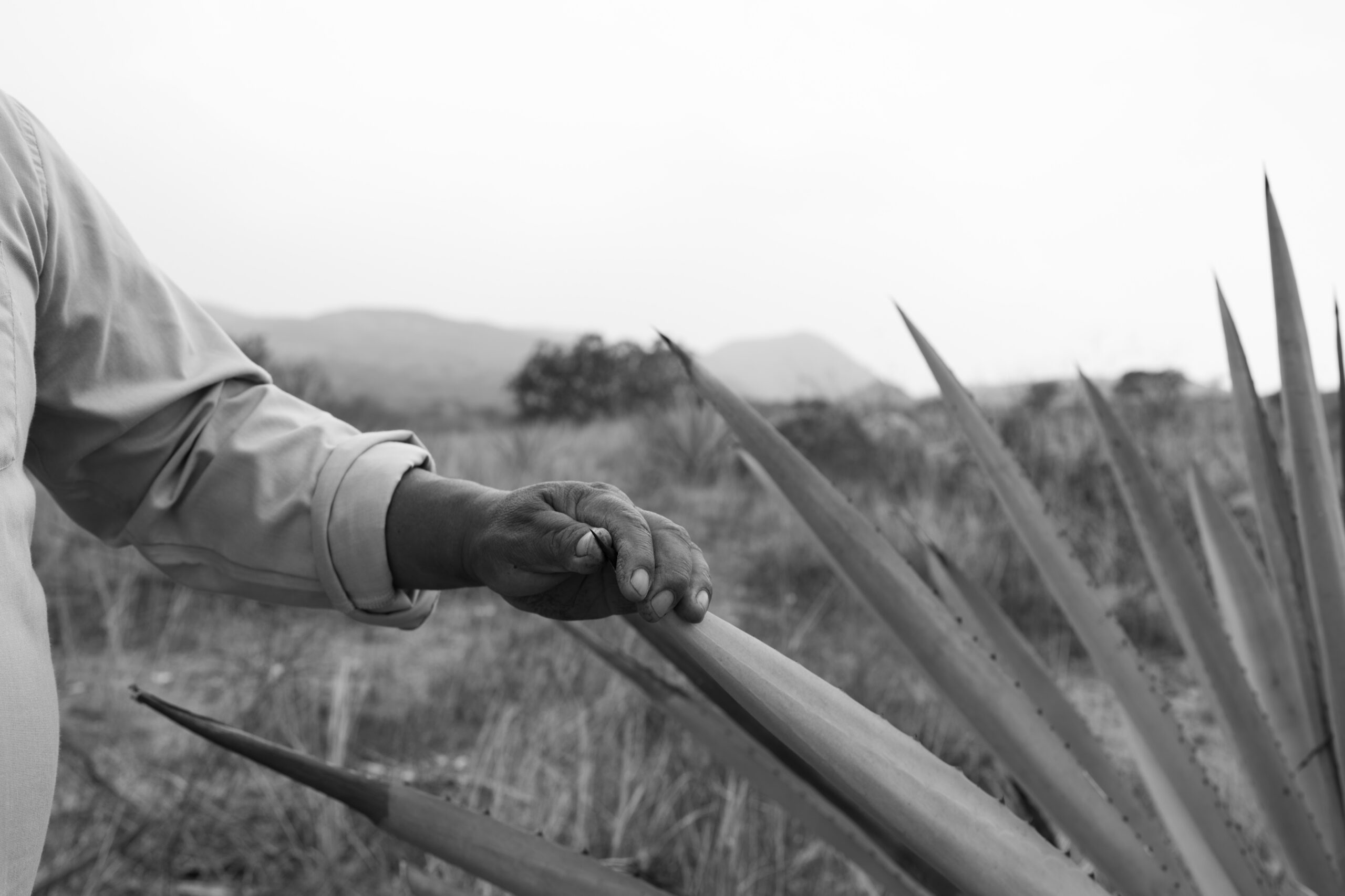 Trabajo artesanal en Oaxaca