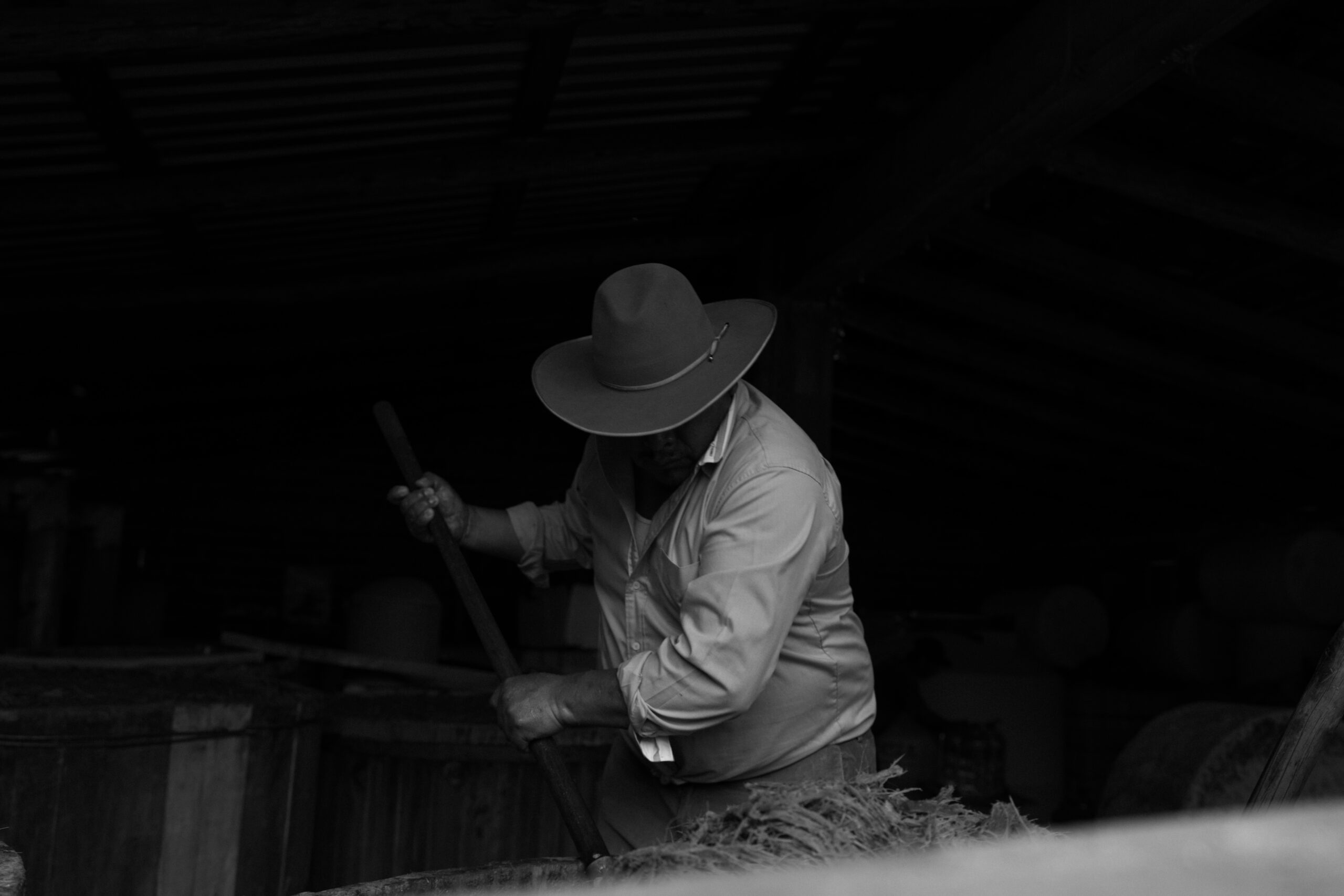 Detalle del primer encuentro con el mezcal